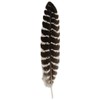 Ergeob Turkey Feather 20 – 30 cm/8 – 12-inch Length