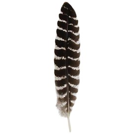 Ergeob Turkey Feather 20 – 30 cm/8 – 12-inch Length Turkey Feathers Pack of 10/20/50