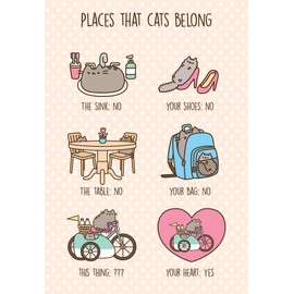 Pusheen The Cat Places That Cats Belong Greeting Card