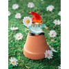 Ganz Crystal Expressions Garden Gnome Figurine