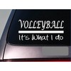 Volleyball It's What I do Sticker 8" Decal Sand Beach