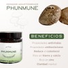 Pellets de Melena de León, Cordyceps, Cola de Pavo, Shiitake