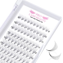 Pre Made Fan Eyelash Extensions 6D-C-0.10-8-15 Pointy Base Premade Fans Eyelash Extension 0.05 0.07 0.10 Lash Extensions Pre Fanned Russian Volume Lashes C D curl（6D-C-0.10-8-15mix）