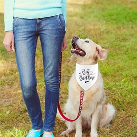 Dog Bandana, Pet Scarf Triangle Bibs Kerchief, Gender Reveal Photo Props, Dog Pregnancy Announcement, Pet Costume Accessories for Small Medium Large Dogs(Big Brother)