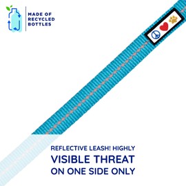 Pawtitas ♻️ 6 FT Recycled Dog Leash with Reflective Stitched Thread Stitched on Side| Medium Reflective Dog Leash Made from Plastic Bottles Collected from Oceans – Teal 6 ft Dog Leash
