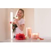 Chesapeake Bay Candle Scented Candle Stillness + Purity (Rose Water)