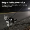 pangdi Cat Harness and Leash Escape Proof Kitten Harness Cat