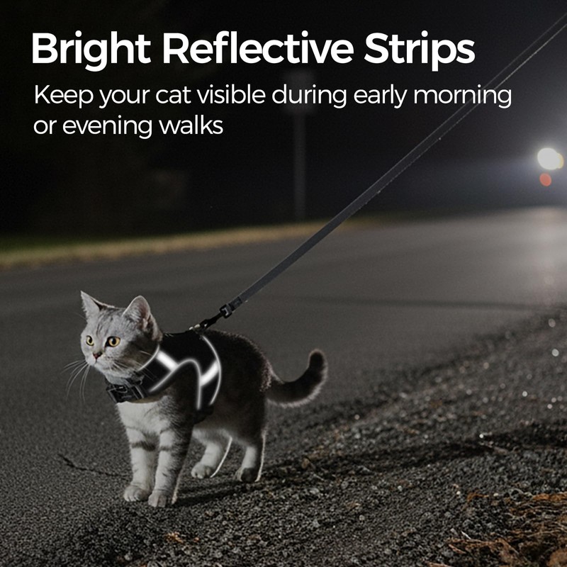 pangdi Cat Harness and Leash Escape Proof Kitten Harness Cat