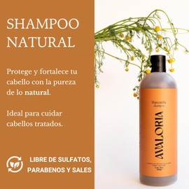 Shampoo Avaloria Libre de Sulfatos, Parabenos y Sales 480 ml – Con 11 Hierbas Naturales, Para Brillo Y Fortalecimiento Capilar (Shampoo Manzanilla, 480 ml)