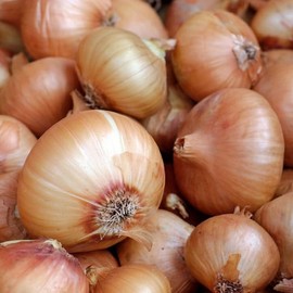 Onion and Shallot LARGE Sets 500g Bag (Onions ~70 bulbs) / (Shallots 20-30 bulbs), Longor Shallot Sets 500g Bag (LARGE SETS ~25 bulbs)
