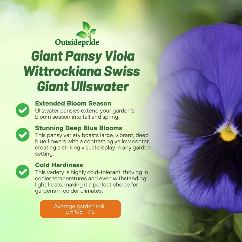Outsidepride Blue Ullswater Viola Pansy Seeds for Planting - 1,000