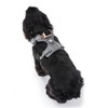 Pawfit Extra Large Dog Harness, No Pull Pet Vest Harness