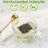 Premium 40 Ginkgo Biloba Tea Bags, Made with 100% Natural