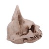 Nemesis Now Bastet's Secret Cat Skull Figurine Ornament, Natural Bone