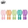 Artbox/Wetbrush Hairbrush Speed ​​Dry Limited Green / 아트박스/웻브러쉬 헤어브러쉬 스피드