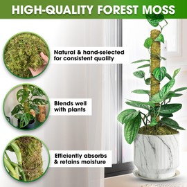 DUSPRO Natural Stackable Moss Pole for Plants Monstera, Forest Moss Sticks, Monstera Plant Support, Handmade Plant Stakes for Indoor Plants for Potted Plant to Grow Upward 02 pcs 22''
