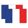 GEEKBEAR National Flag Car Magnet (France)