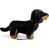 Carl Dick Dachshund Dog with lead, 10.5 inches, 30cm, Plush