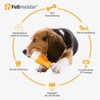 Fellmeister® 3in1 Dental Kauspielzeug für Hunde mit Kühlfunktion und Futter