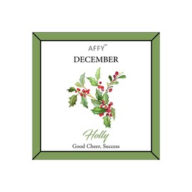 AFFY December Birth Month Holly Flower Disc Pendant Necklace In Rose Gold Plated Jewelry Womens 18" Chain