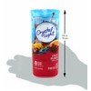 Crystal Light Fruit Punch Drink Mix, 12-Quart Canister (Pack Of