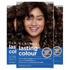 Clairol Lasting Colour Permanent Hair Dye | Ideal Grey Coverage