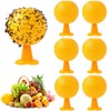 Fruit Fly Traps, Pack of 6 Fruit Fly Traps Balls,