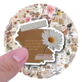 Retro Stickers for Laptop (120 Pieces), Gift for Children, Teenagers, Adults, Boys, Vintage Stickers, Waterproof Vinyl Stickers for Scrapbooking, Skateboard, Car, Luggage