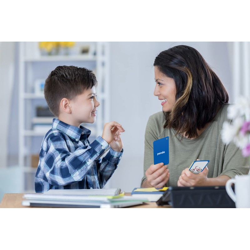 Categories Flash Cards (EP62079)