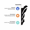 labelbike - Stickers Stripes Motorcycle Rims Wheels Protection Kit Compatible