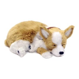 Perfect Petzzz Corgi The Original Breathing Pet Puppy