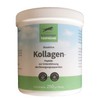 Scheuringer Tierfreund Bioactive Collagen Peptides for Musculoskeletal Support