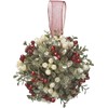 Kissing Krystals 5in Mistletoe Ornament - Acrylic - Holly Kissed