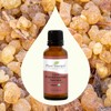 Plant Therapy Organic Frankincense Serrata Essential Oil 100% Pure, USDA