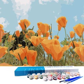LikeyFactory Paint by Numbers Kit for Adults on Canvas with Paintbrushes Color Acrylic DIY Drawing Premium Quality Colorwork Paintwork (16"x20", Poppy Flowers)