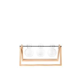 Plant Cutting Display Propagator - 3 Propagation Vases with Wooden Stand for Fast Plant Propagation - Grow Cuttings and Propagate Plants - Propagate Holder