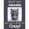 Generic Grey Cat Kitten funny flexible fridge magnet gift