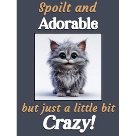 Generic Grey Cat Kitten funny flexible fridge magnet gift