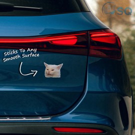 WSQ Smudge The Cat Meme Sticker Decal Vinyl Bumper Sticker Decal Waterproof 5"
