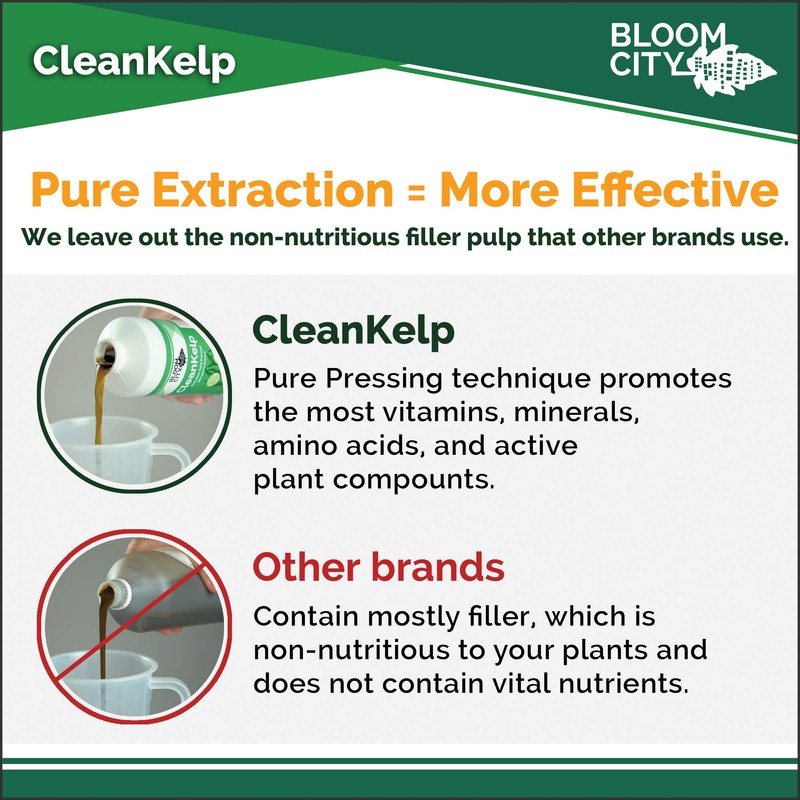 Bloom City Organic Liquid Seaweed and Kelp Fertilizer Supplement (128