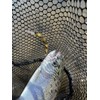Mukai Fishing BackStroke 55mm Stripe Golden Brown 3.5g Sinking Trout