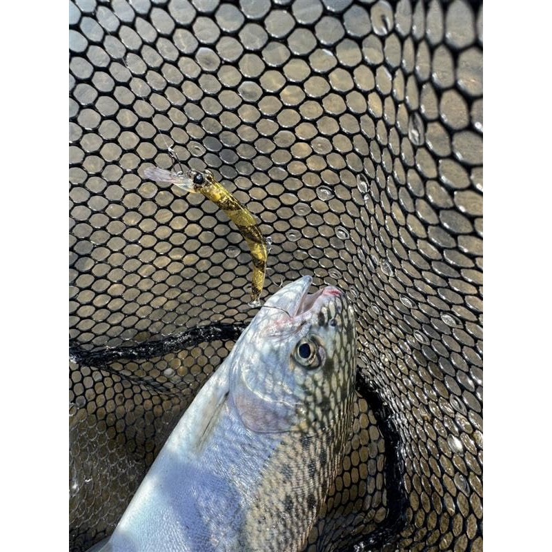 Mukai Fishing BackStroke 55mm Stripe Golden Brown 3.5g Sinking Trout