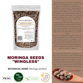 Moringa oleifera Seeds 4oz. WINGLESS Clean, Sun-Dried, 100% Natural, Raw Superfood, Nutritional, Rich in Vitamins Edible Seeds, (Approx. 2000) 5-PACK