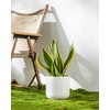 vancasso 6 Inch Ceramic Plant Pots, Planters with Drainage Hole,