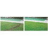 Hydro Mousse PRO Grass Seed