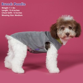 Cyeollo 2 Pack Dog Sweater - Fleece Vest & Sweatshirt in Reflective Lightweight Fabric - Perfect for Small Dogs, Boy or Girl - Grass Green, Grey, M