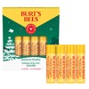 Burt's Bees Bálsamo labial, cera de abejas Bounty, clásico, paquete