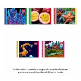 Escribe 6 Cuadernos Italiano Scribe 100 H Económico C. Grande C 7mm