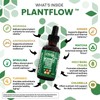 Clean Nutra Plantflow Moringa Drops with Ashwagandha Turmeric Ginger Spirulina