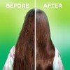 Garnier Fructis Sleek and Shine Anti Frizz Oil Treatment Pack